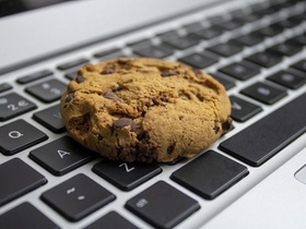 Cookie on the keyboard