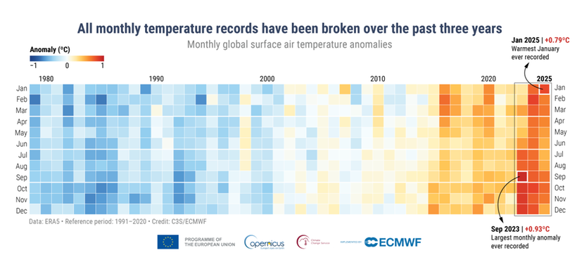 Copernicus: Monatliche Anomalien