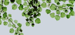 Corona, Nachhaltigkeit und Steuerkanzleien