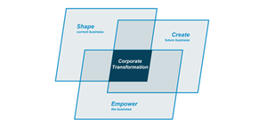 Corporate Transformation - die Königsdisziplin der CEOs