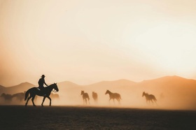 Cowboy Pferd Wilder Westen