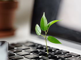 CSR Pflanze Tastatur