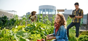 Wohngesundheit und Klimaschutz in der Quartiersentwicklung