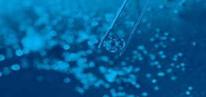 Den richtigen Eindruck bei der Talentsuche hinterlassen