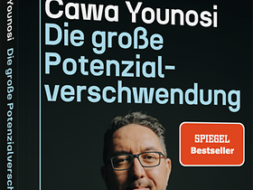 Die große Potenzialverschwendung