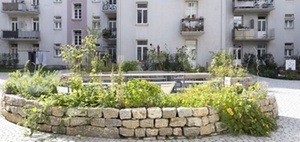 Klimataugliche Bepflanzung für Wohnanlagen