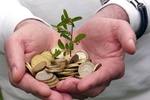 Eco Jobs - Hände die Geldmünzen und eine Pflanze halten