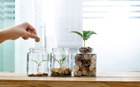 Glas Glasbehälter Hand Münzen Investition Pflanze grün