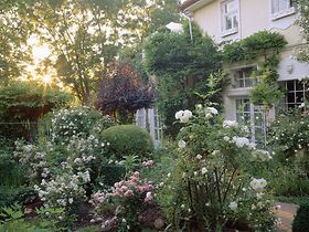 Einfamilienhaus Rosensträucher Garten