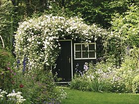 Eingewachsenes Gartenhaus *** Local Caption ***