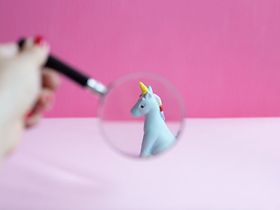 Einhorn unter der Lupe