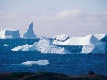 Eisschollen im Wasser