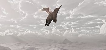 Elefant Flügel Himmel Wolken Lichtstrahl