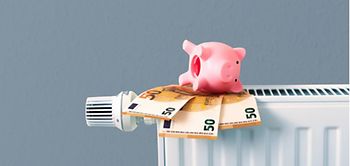 Sparschwein rosa liegend Heizkörper Heizung Geldscheine