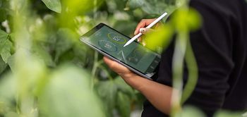 ESG Bericht_Tablet in Pflanzenumgebung