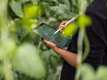 ESG Bericht_Tablet in Pflanzenumgebung