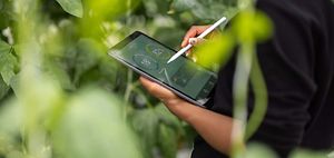ESG Bericht_Tablet in Pflanzenumgebung