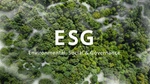 ESG Environmental, Social & Governance Wald Luftbild