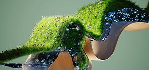 ESG_Band aus Holz Gras und Daten