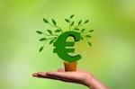 Euro-Zeichen Wachstum Finanzierung Pflanze Hand Rendite