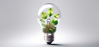 Grün Umwelt Glühbirne