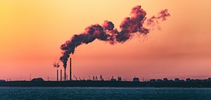 CO2-Entnahme: EU-Parlament stimmt für Zertifizierungsrahmen