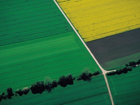 Feld und Wiese Flächenverbrauch 