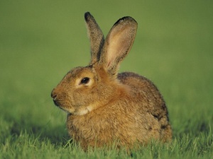 Wertermittlung von Grundstücken bei Pflichtteilsansprüchen