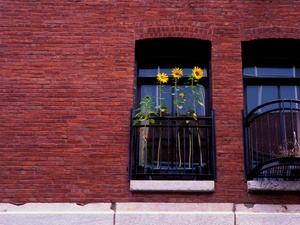 Verwitterte Fenster sind kein Mangel