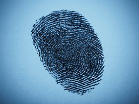 Fingerabdruck