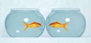 Deutsche Hypo Immobilienklima: Warten auf die Wachstumsphase