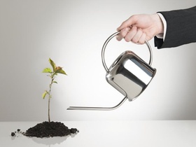 Tipp 2: Fördern Sie die Persönlichkeitsentwicklung Ihrer Mitarbeiter