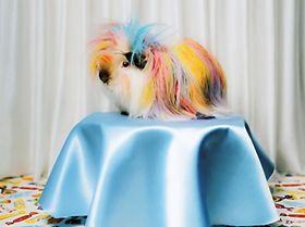 Foto: Daniel Gebhart de Koekkoek / Connected Archives