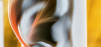 Foto Philotheus Nisch