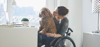 Frau Rollstuhl Schreibtisch Hund Wohnung