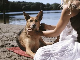 Frau sitzt mit Hund an Seeufer