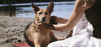 Frau sitzt mit Hund an Seeufer
