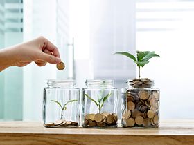 Frau wirft Münze in Glasspardose mit Pflanze