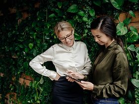 Frauen Büro Grün