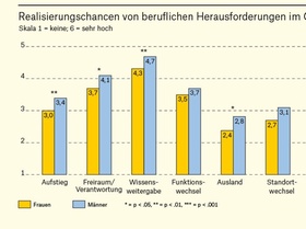 Frauenkarrieren: Realisierungschancen im Geschlechtervergleich