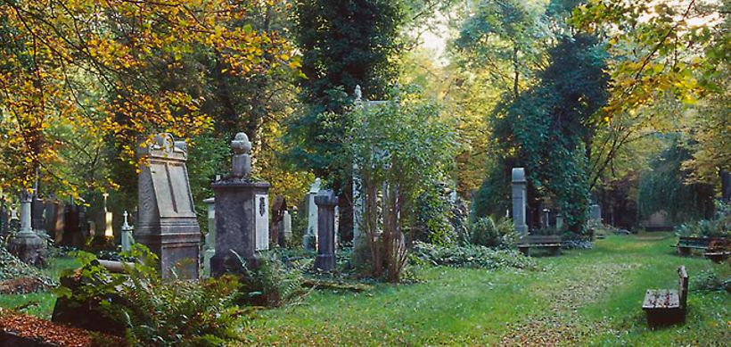 Friedhof im Herbst
