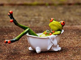 Frosch Gartenzwerg Badewanne Garten 