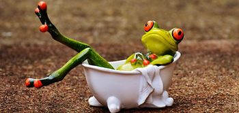 Frosch Gartenzwerg Badewanne Garten 