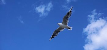 Führung: Freiheit, Vertrauen, Selbstbestimmung