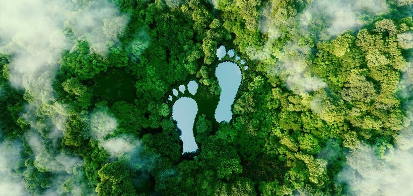 Fußabdruck 2 Füße Wald Klima Klimaschutz
