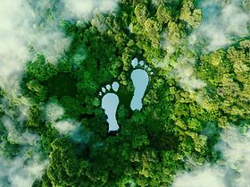 Fußabdruck 2 Füße Wald Klima Klimaschutz