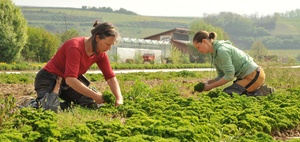 Hautarztverfahren: ein Präventionserfolg