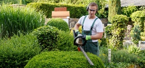 Aktuelle Unfallzahlen 2024 für "grüne" Berufe