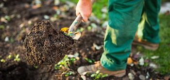 Kleingarten Garten Mann Schaufel Gartenarbeit