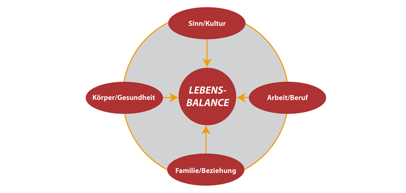 Gefühlsmanager Infografik